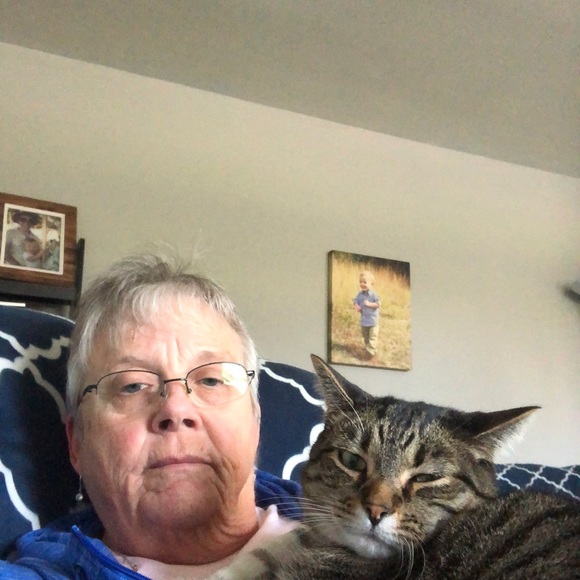 Meet your Posher, Phyllis - Picture 1 of 1